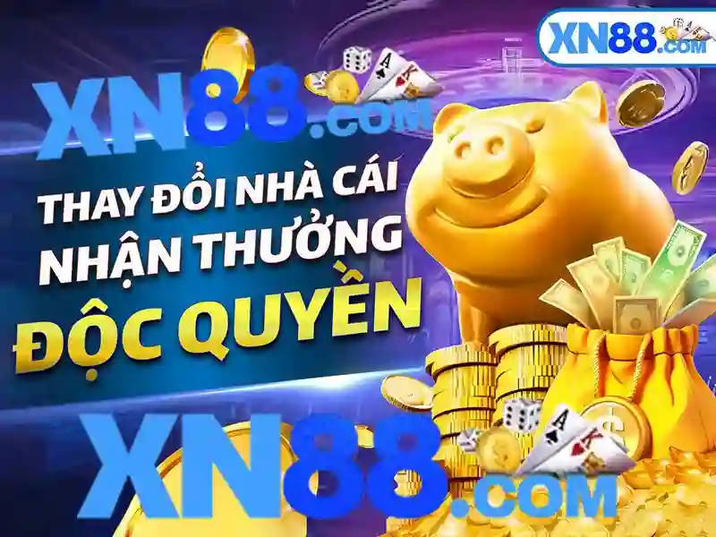 Trải nghiệm người dùng và ý kiến cộng đồng