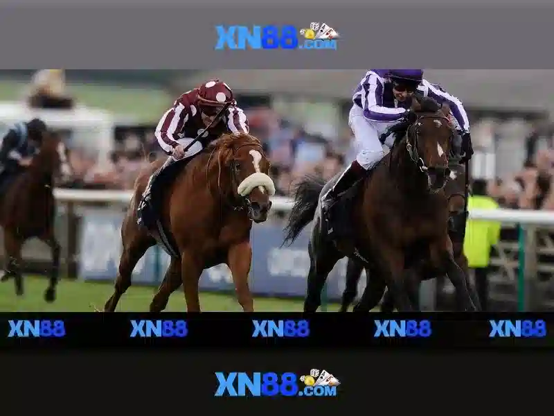 xn88 cacelem – Định vị thương hiệu và trải nghiệm tối ưu