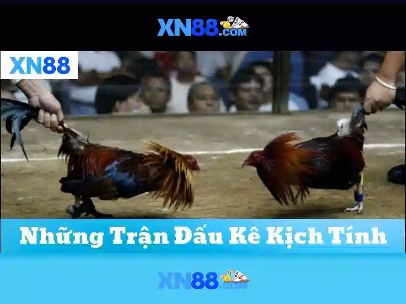 Sản phẩm và dịch vụ cốt lõi – Ứng dụng thực tế