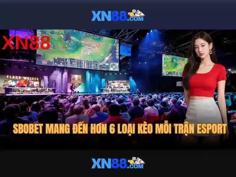 Tổng quan về app xn88