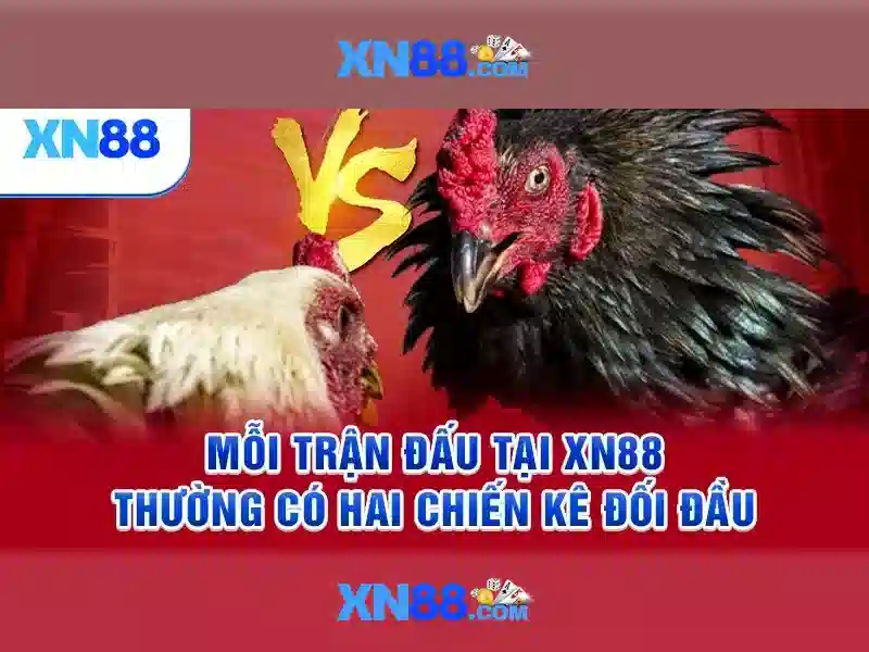 đăng ký xn88 – tổng quan chủ đề và giá trị cốt lõi</span></p>