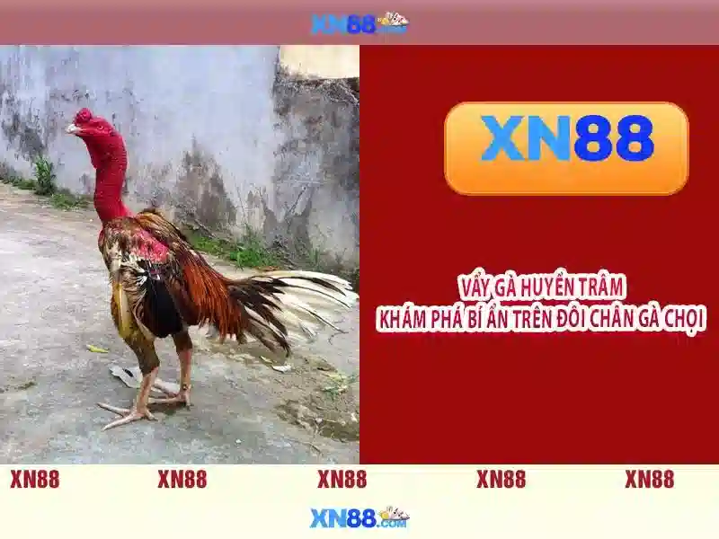 ap xn88 – Tổng quan chủ đề và giá trị cốt lõi