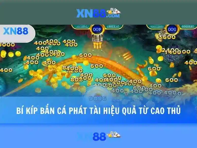 Tổng quan và giá trị cốt lõi xn88 tại app