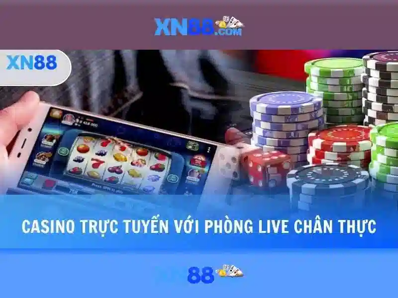 Phản hồi người dùng và cộng đồng