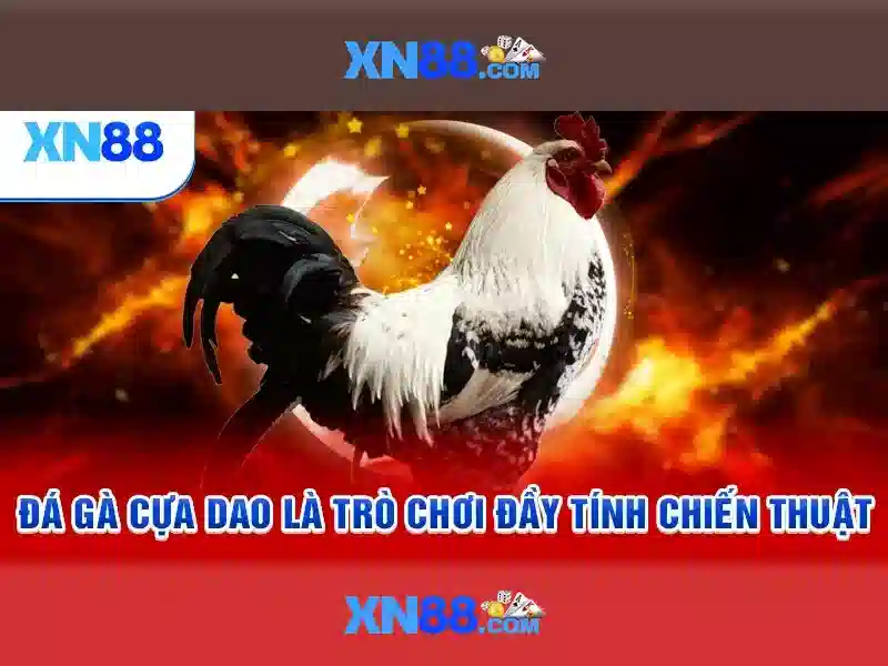 xn88. - Trải nghiệm thương hiệu và giải pháp số