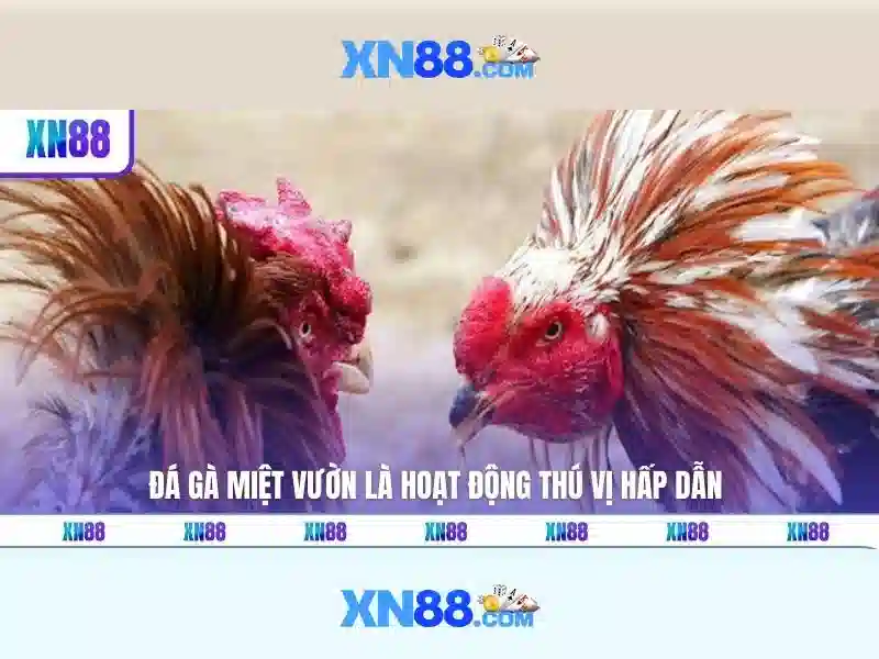 xn88: Nền tảng cá cược trực tuyến và những điều cần biết