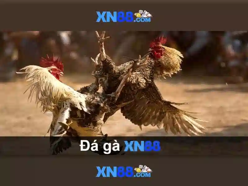 Giới thiệu về xn88