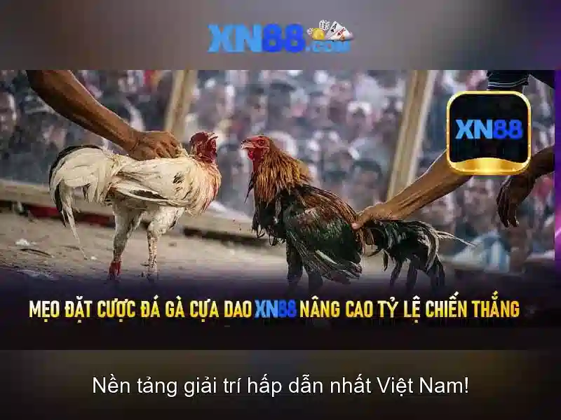 xn88 sa: Trải nghiệm đỉnh cao và đánh giá chuyên sâu