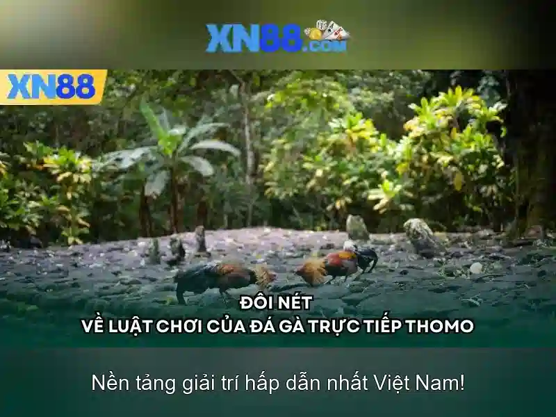 xn88 - Giới thiệu nền tảng giải trí trực tuyến