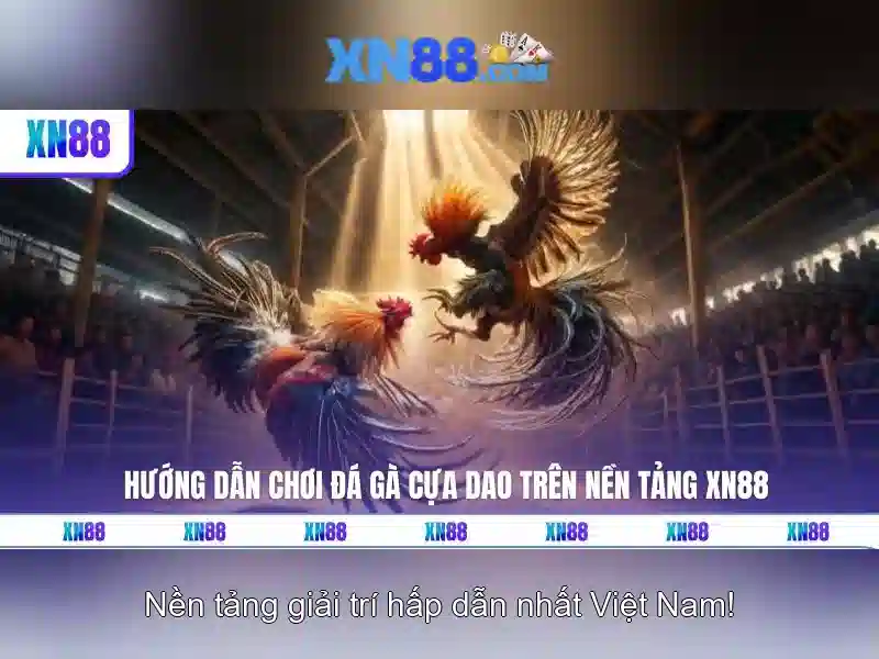 xn88 vip – Tổng quan chủ đề và giá trị cốt lõi