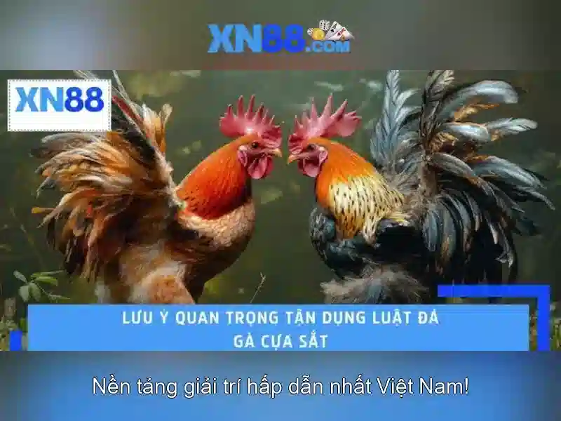  Sản phẩm chính và dịch vụ quanh xn88 còn