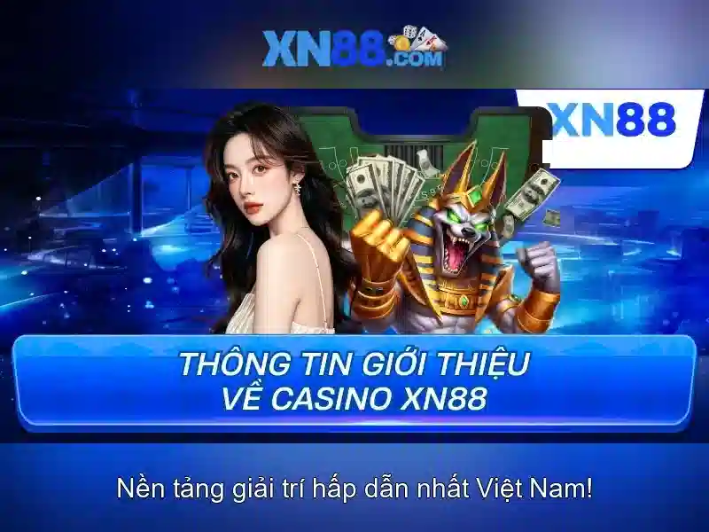 Khai thác thị trường và cược có trách nhiệm