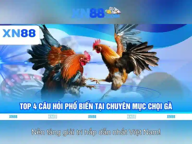 Nguồn gốc và sứ mệnh của xn88 android xn88