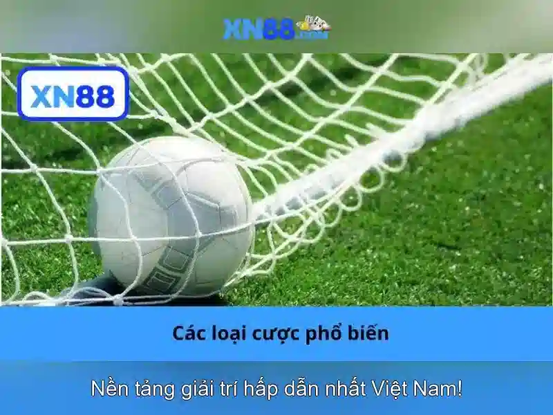 Ưu thế và cạnh tranh