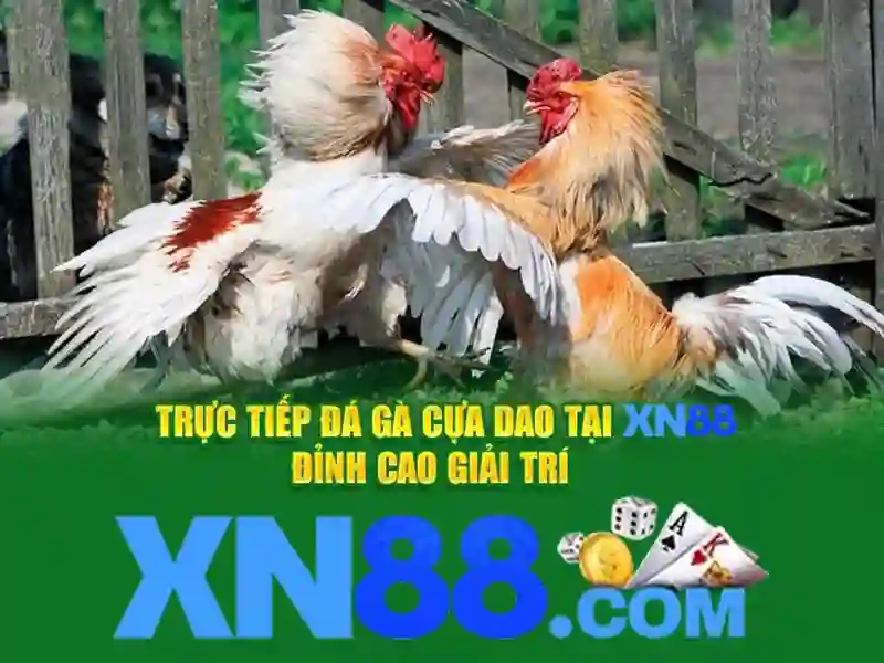 xn88 tải – Hành trình trải nghiệm và sứ mệnh thương hiệu